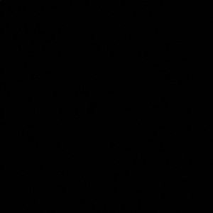 Meet your Posher, Jerry